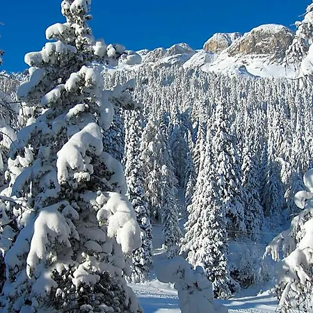 Garni Elisir 3* Арабба